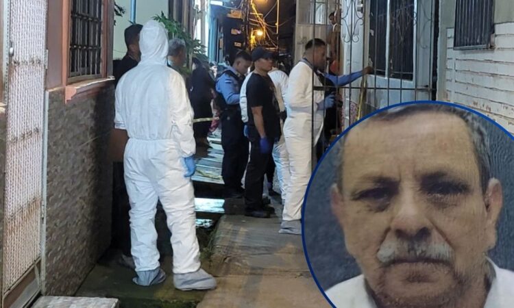 ¡Ataque mortal! Pitbull mata a su propio dueño y deja herido a su hijo  Móvil Emergencia TGU