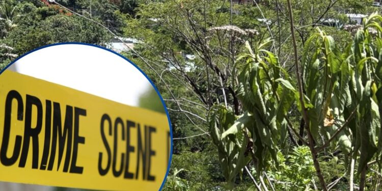 ¡Con saña! Atado, torturado y asesinado hallan a hombre en un abismo de Comayagüela