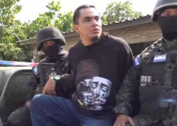 ¡Del lobo, un pelo! Un detenido, dejan sendos allanamientos en la zona norte