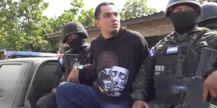 ¡Del lobo, un pelo! Un detenido, dejan sendos allanamientos en la zona norte
