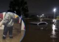 ¡Desastre! Decenas de evacuados tras inundaciones por desborde de quebradas en Santa Bárbara