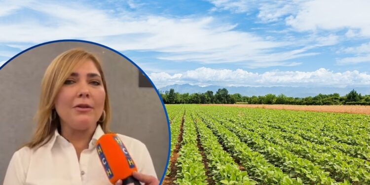 ¡En exclusiva para HCH! Embajadora Hall anuncia preselección de dos mil hondureños para trabajar en España