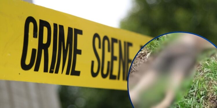 ¡En fosa común! Trasciende hallazgo de dos hombres enterrados en potrero de Jutiapa, Atlántida
