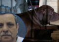 ¡Giro inesperado! Por indicios que no corresponden a una mordedura, MP estaría emitiendo requerimiento fiscal en el caso de Zeus