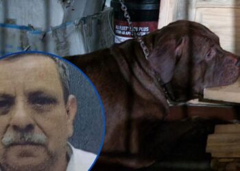 ¡Giro inesperado! Por indicios que no corresponden a una mordedura, MP estaría emitiendo requerimiento fiscal en el caso de Zeus