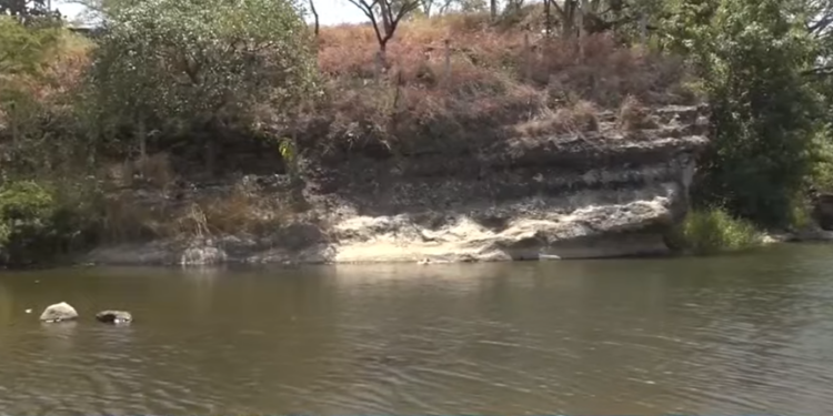 ¡Lo invitaron a pescar y terminó muerto! Hallan flotando en el río a hombre que salió con dos amigos en Amarateca