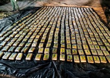 ¡No era cocaína! Los 520 kilos decomisados en Güinope eran “desparasitante”, según autoridades