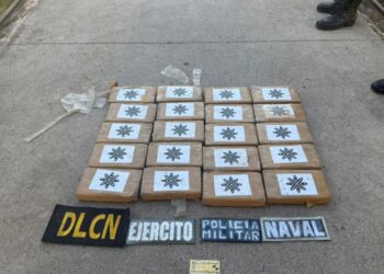 ¡No era cocaína! Los 520 kilos decomisados en Güinope eran “desparasitante”, según autoridades
