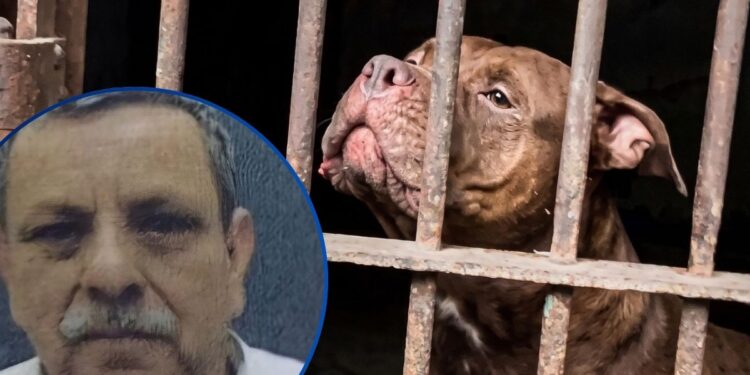¡Se cae versión de armas blancas! Forenses concluyen que Alex Maldonado murió por mordedura de Zeus