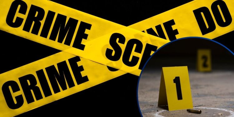 ¡Seguimos mal! Entre 7 y 8 muertes violentas se registran a diario en Honduras, según OV-UNAH