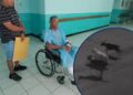 ¡Tres pitbulls casi lo matan! Ceibeño narra a HCH cómo sobrevivió al feroz ataque: “Me engañaron porque movieron la cola”