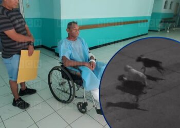 ¡Tres pitbulls casi lo matan! Ceibeño narra a HCH cómo sobrevivió al feroz ataque: “Me engañaron porque movieron la cola”