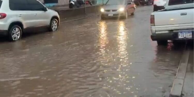 ¡Colapso en la Arturo Quezada! Lluvias convierten las calles en ríos de piedras y basura