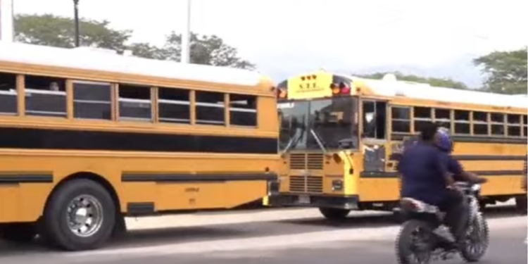 ¡Paralizado el transporte en Cofradía! Usuarios quedan varados por suspensión del servicio