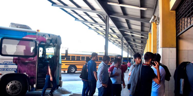 ¡Sin aulas y sin futuro! 7 de cada 10 adolescentes migrantes retornados no estudian en Honduras