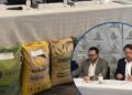¡Cero tolerancia al cemento sin registro! Gobierno prohíbe su importación y comercialización desde el 6 de octubre